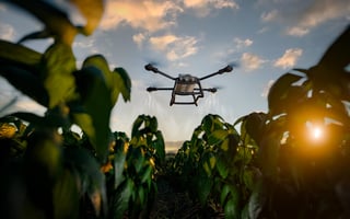 Agricultural drone spraying crops for modern farming