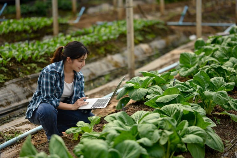 Female farmer using laptop in greenhouse