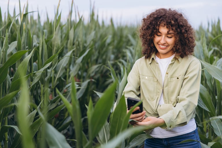 Agronomist using smartphone in corn field